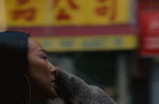 亞洲無(wú)毛片,探尋神秘文化背后的真實(shí)故事