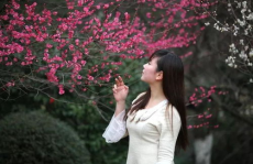 騷人美女,古典才情與絕代風(fēng)華的完美融合